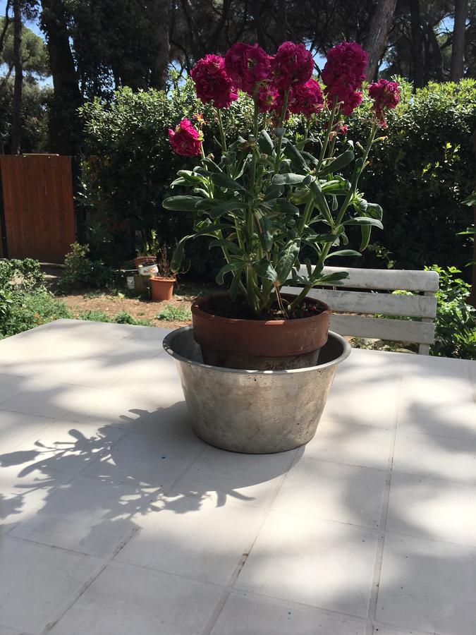 프레제네 La Casa Di Nataly B&B 외부 사진